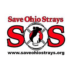 shelter logo