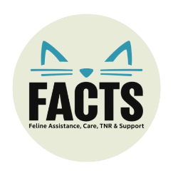 shelter logo