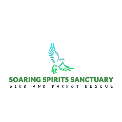 shelter logo
