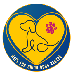 shelter logo