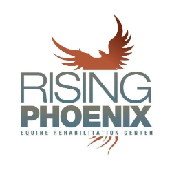 shelter logo