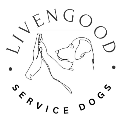shelter logo