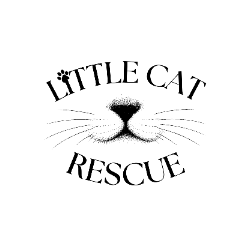 shelter logo