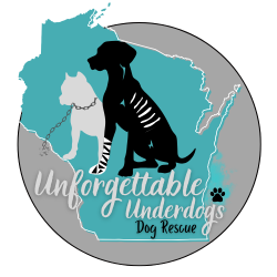 shelter logo