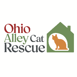 shelter logo