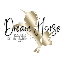 Dream Horse Rescue and Rehabilitation Inc