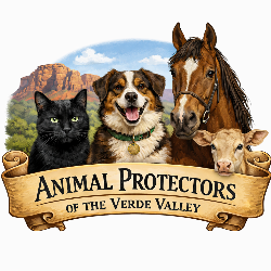 shelter logo