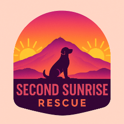 shelter logo