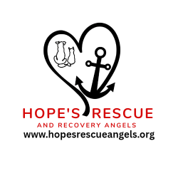 shelter logo