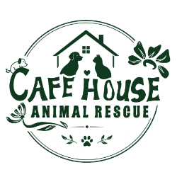 shelter logo