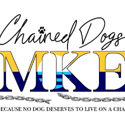 shelter logo