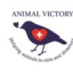 shelter logo