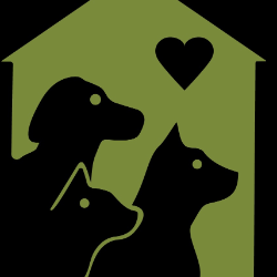 shelter logo