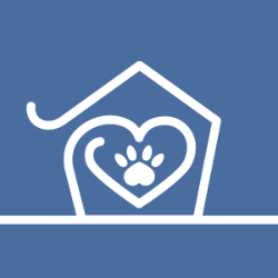 shelter logo