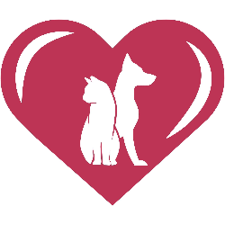 shelter logo
