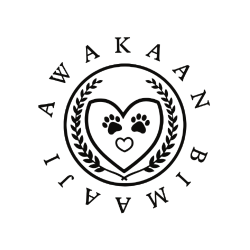 shelter logo