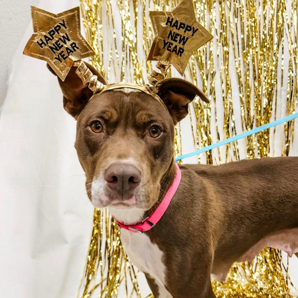 988 (2025) Mama Pepita 