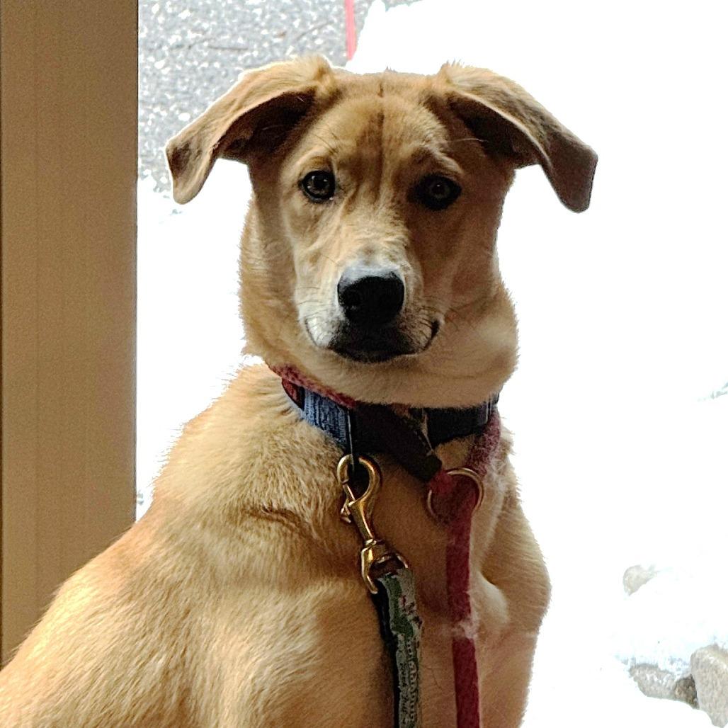 NY Astro (Foster in Stormville)