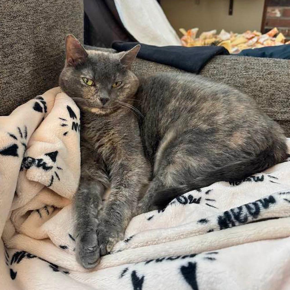 Saydee-In Foster-*See My Video!*