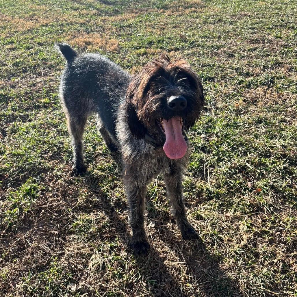 Pepper (London, Kentucky)