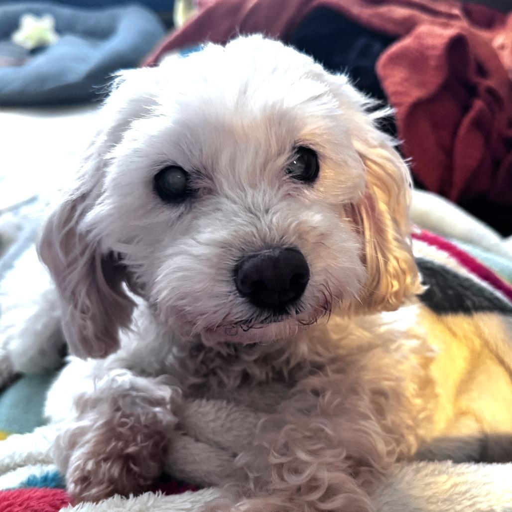 Marbles (aka Mashed Potato)