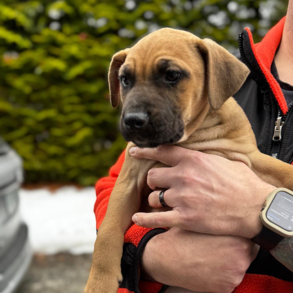 NY Taz Avail Jan 18 (Tractor Supply - Patterson)