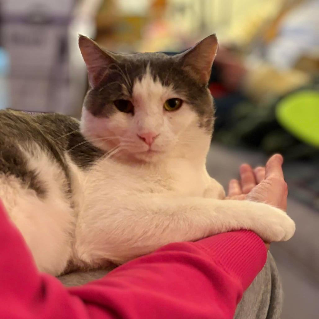 Quarter Pounder with Cheese