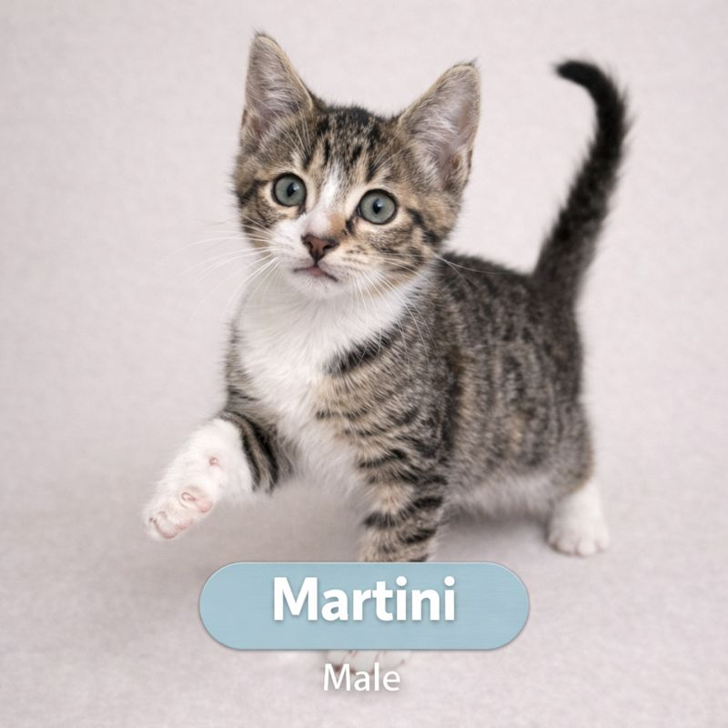Martini