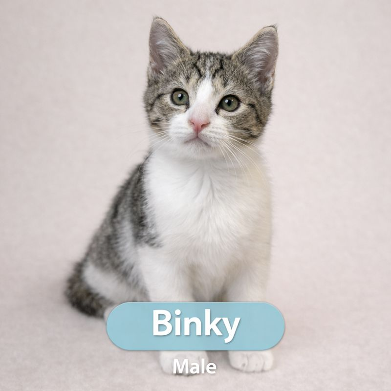 Binky