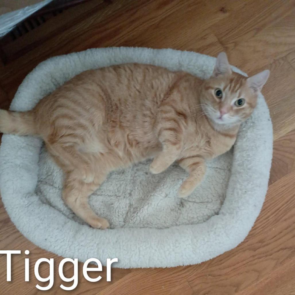 Tigger