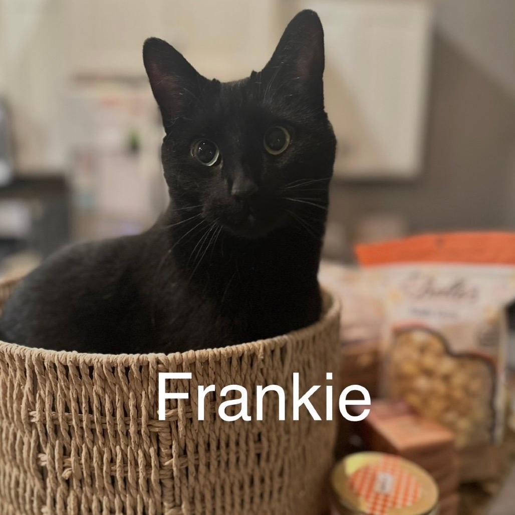 Frankie
