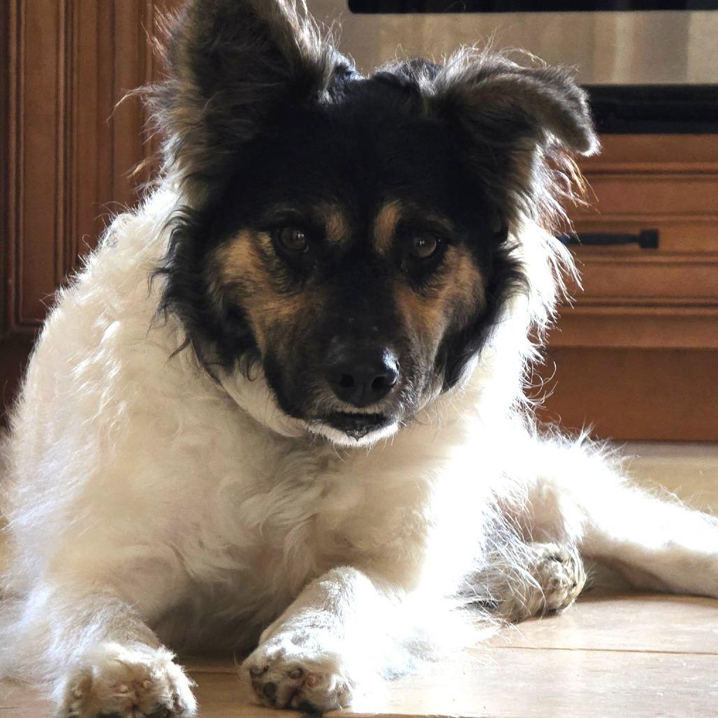 NY Max (Foster in Pawling/Jan 18 Tractor Supply Patterson)