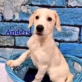 Anders