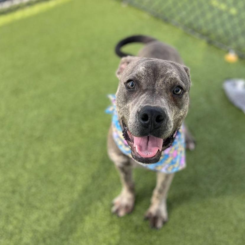 Carter *Coming Soon*