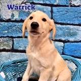Warrick