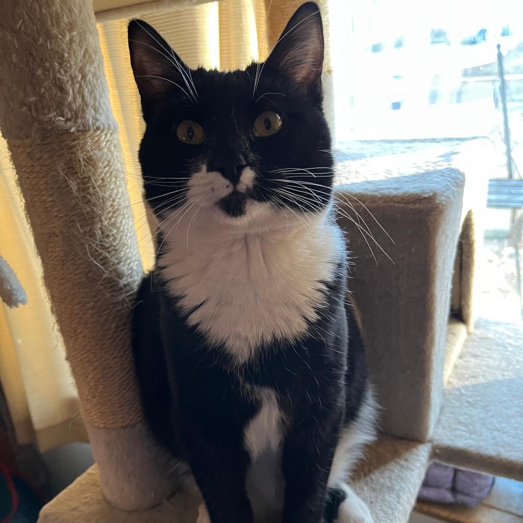 Prince Bambi aka Bubba