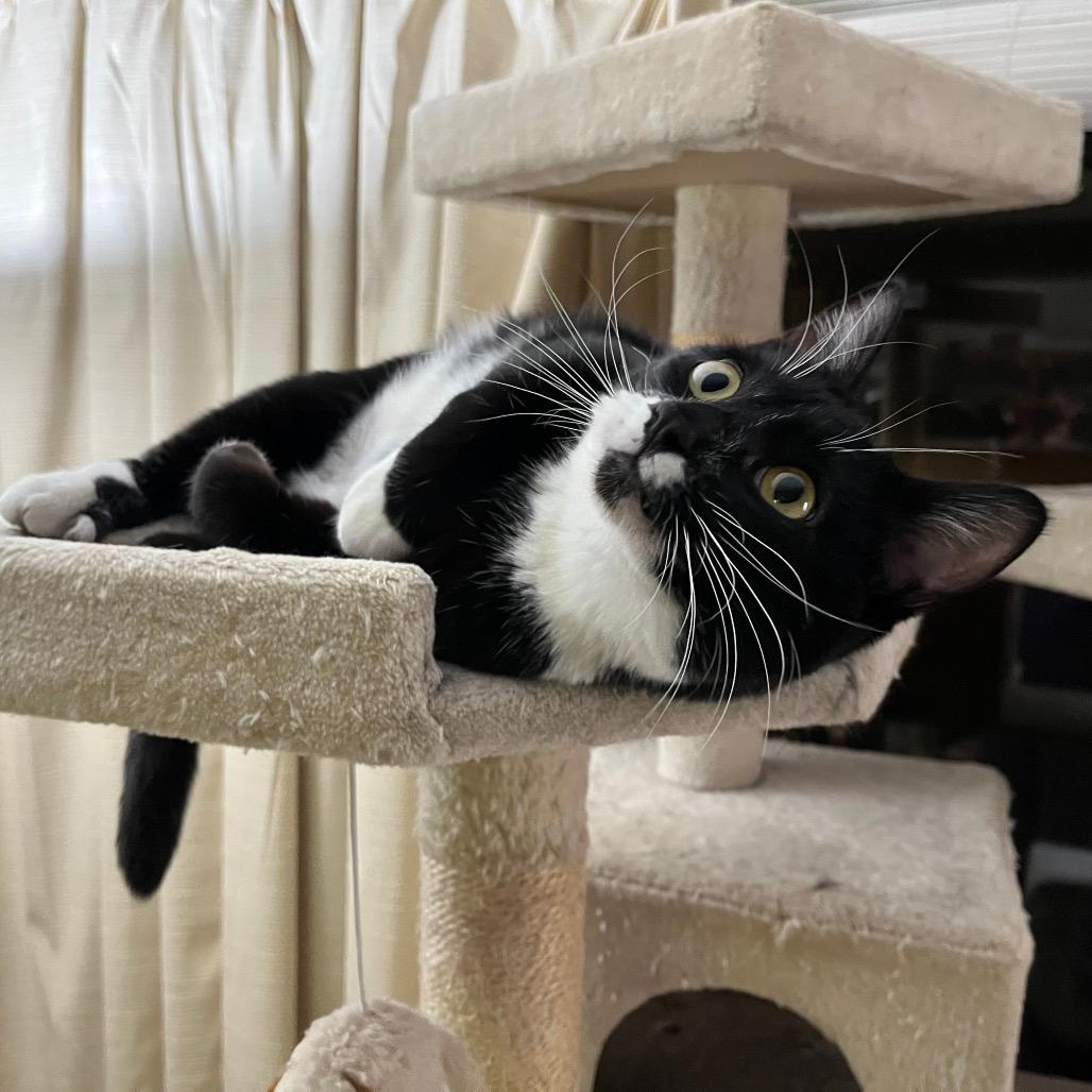 Prince Bambi aka Bubba