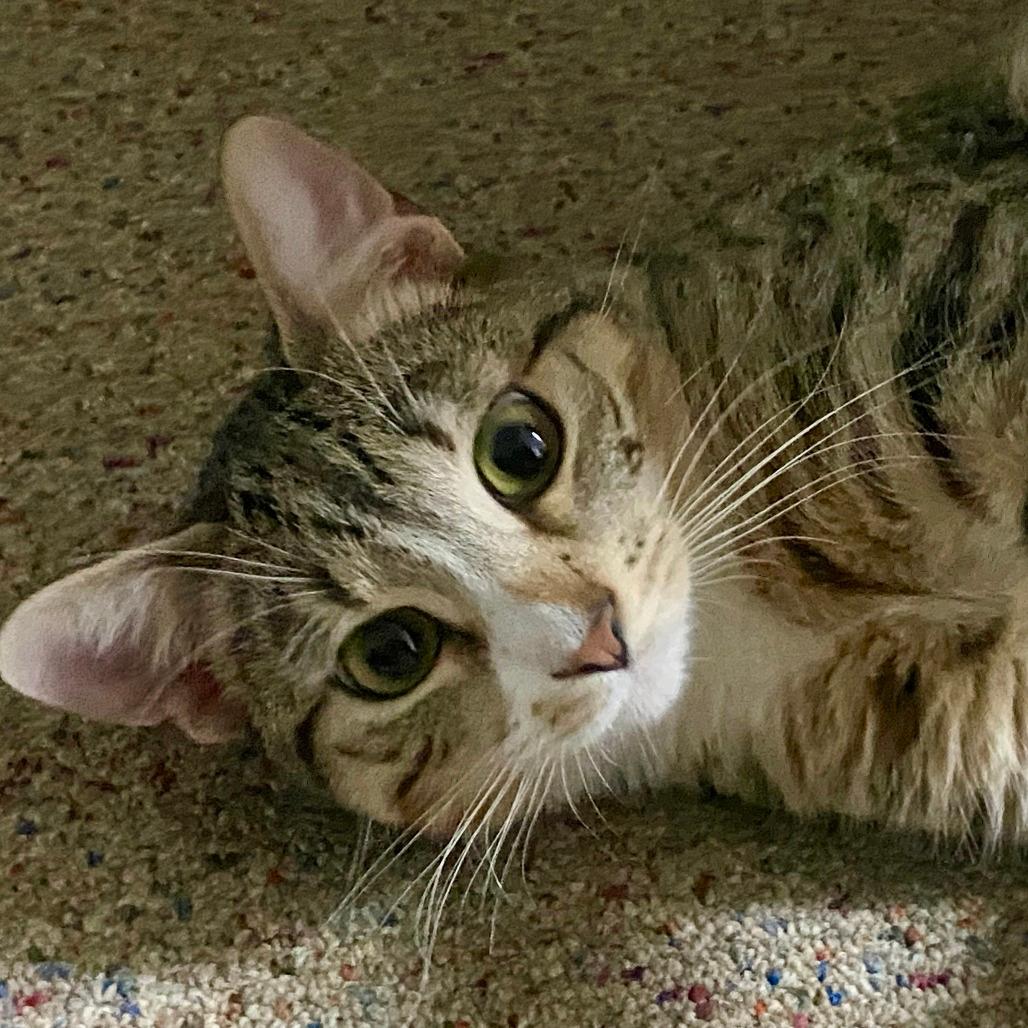 Jasper **Off-Site Foster Home**