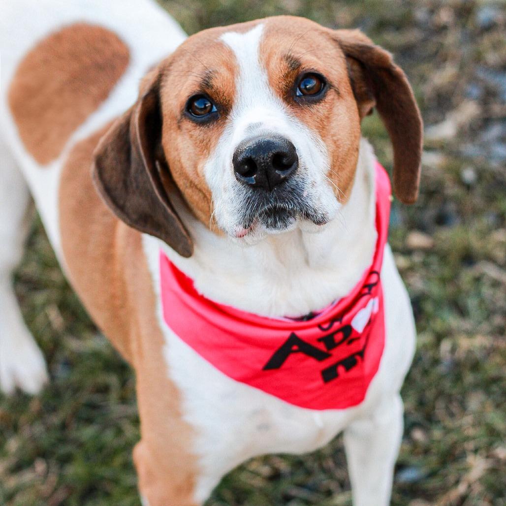 Brenda From Accounting