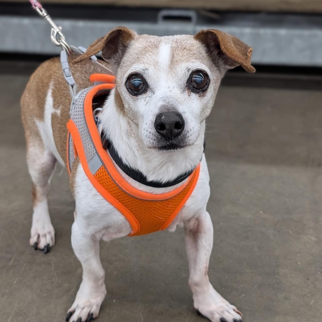 MAX (bonded w/Mickey)