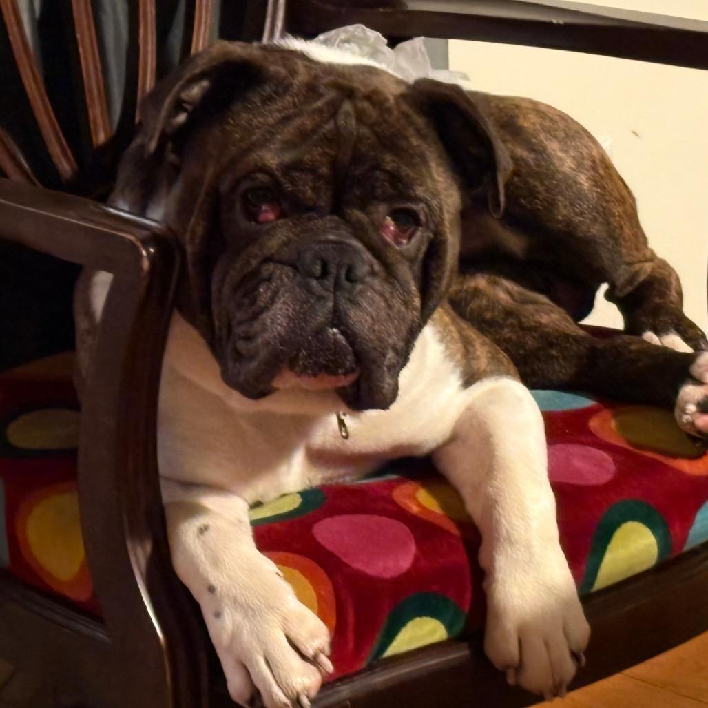 Kane-$99- See My Video!