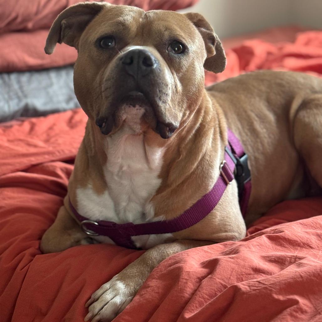 Josephine "Josie" Yam Candy (fka Pooh)