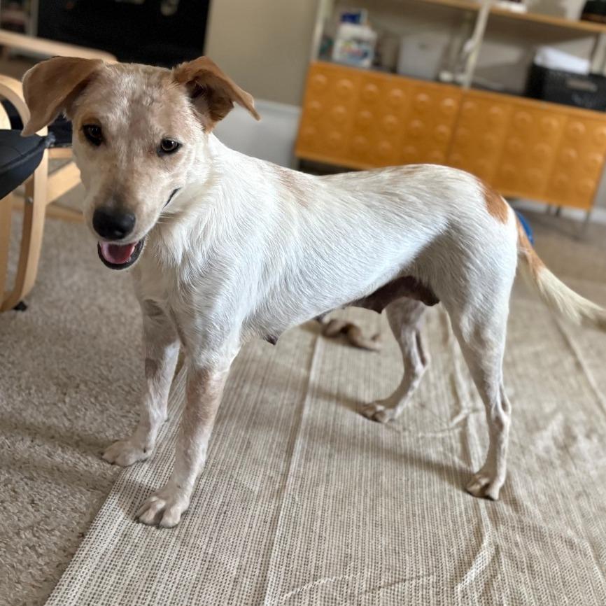 11 (2026) Mama Cinnamon