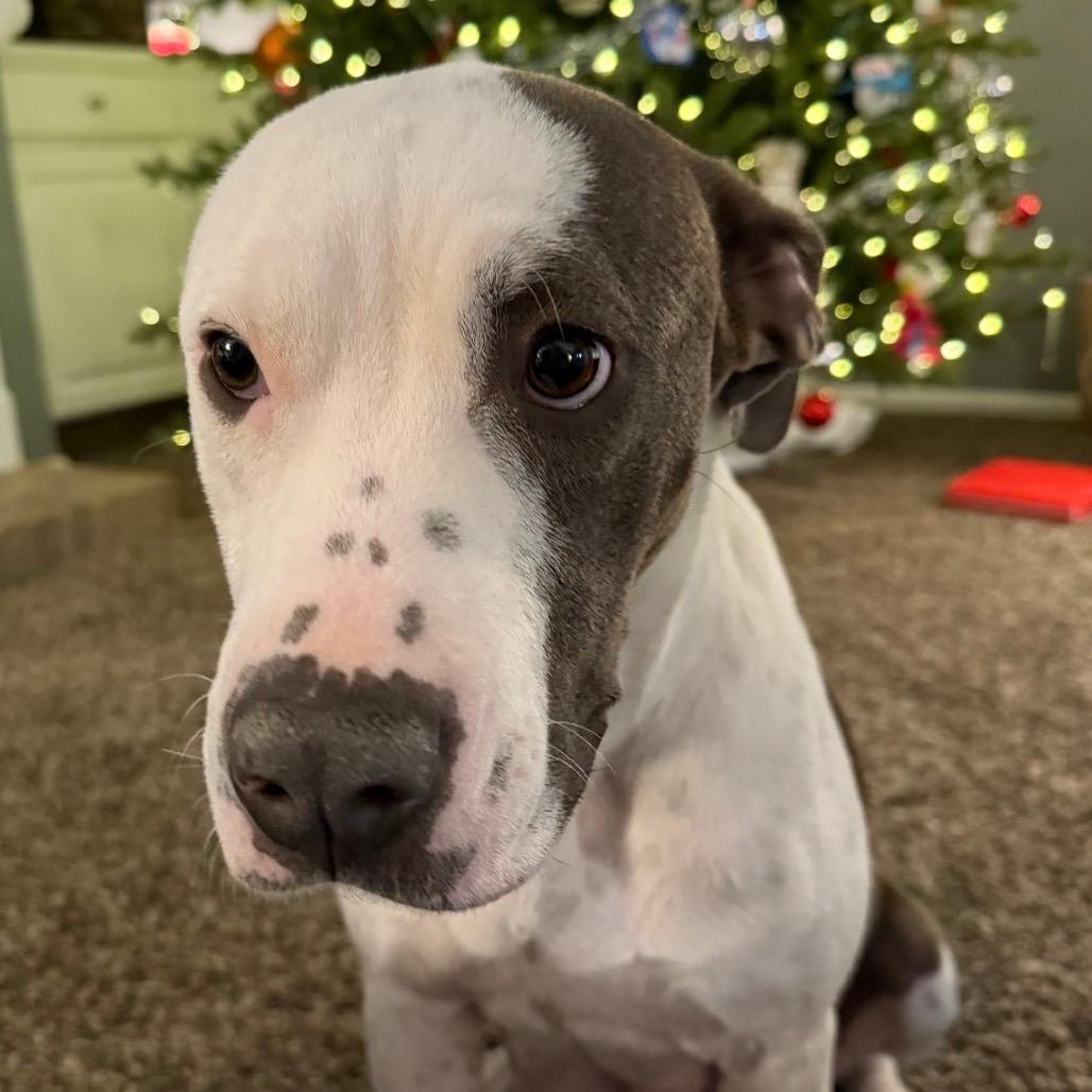 948 (2025) Mama Florence