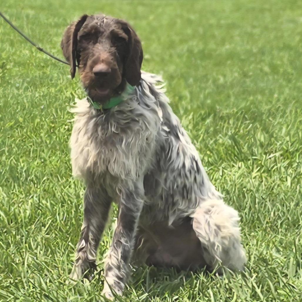 Lil Man (Wellston, Ohio)