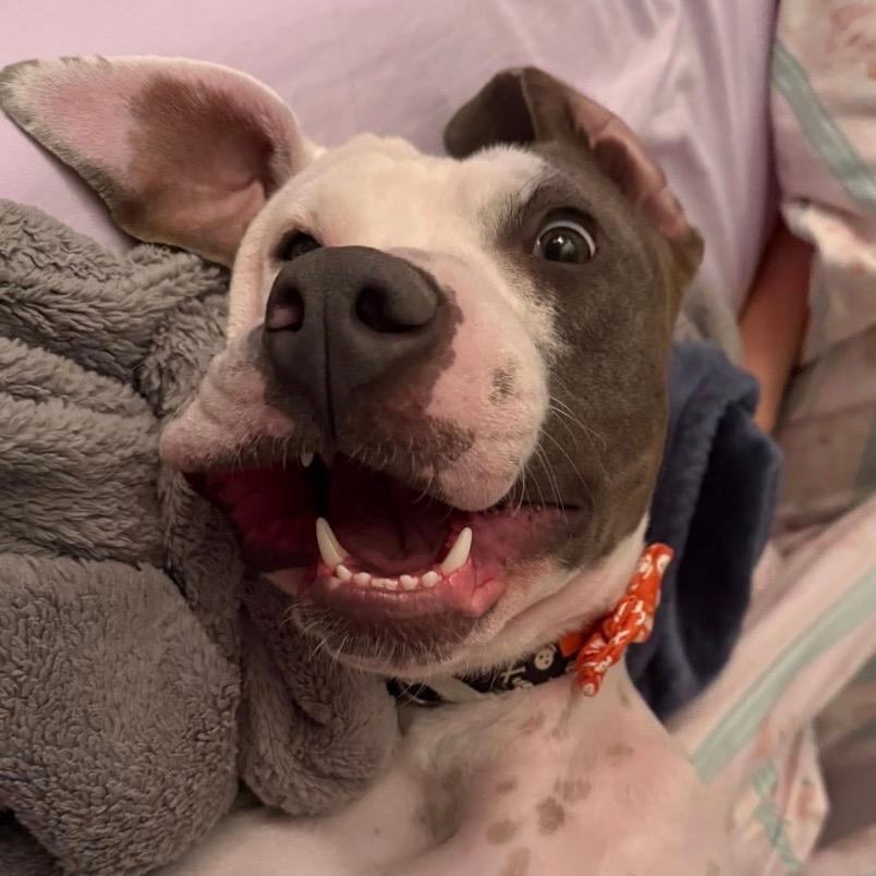 948 (2025) Mama Florence