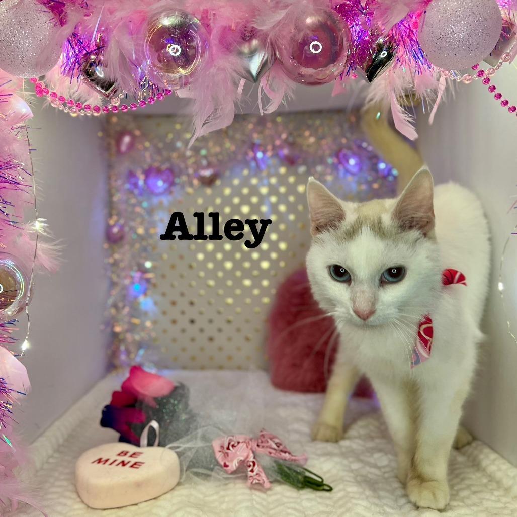 Alley wants to be with Binx