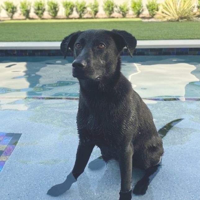 Karen Owner *COURTESY POST*