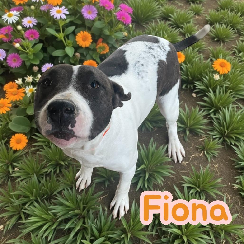 Fiona