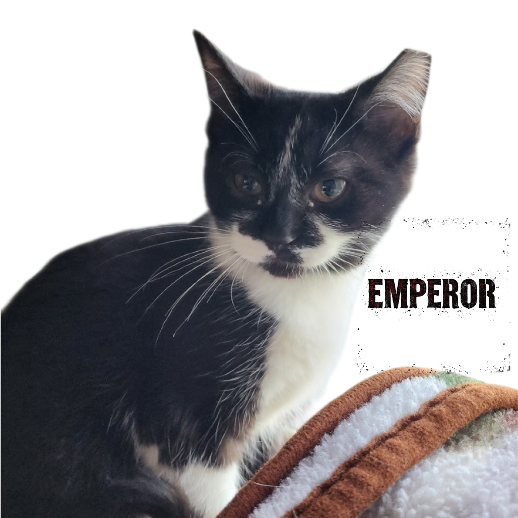 Emperor